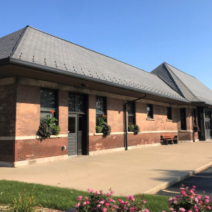 Black Dog exterior image