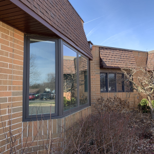 CLV Library windows